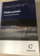 Diritto Penale Percorsi Di Parte Speciale Canestrari Giappichelli