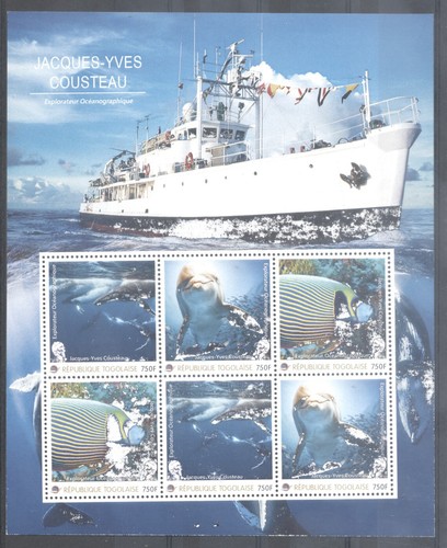 Cousteau delfino - cousteau,,