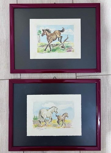 Quadro acquerelli tema cavallo - acquerelli,