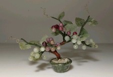 Vecchia Pianta Bonsai Cinese
