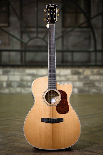 Cort gold oc8 cutaway - cort, om