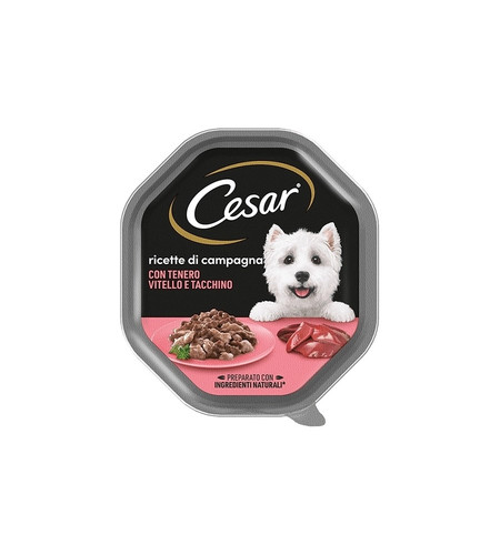 Alimento umido per cani cesar - alimento,