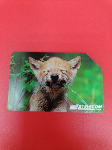 Schede telefoniche animali - schede,