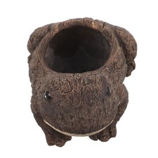  Vaso Pianta Grassa Vasetto