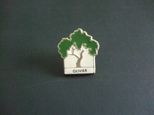 PINS ARBRE OLIVIER  DERRIERE