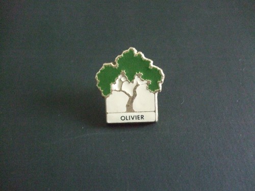 Pins arbre olivier - , derriere