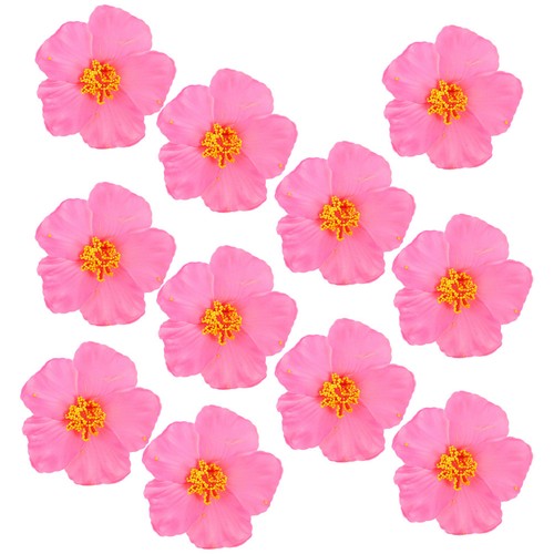 Pezzi fiori ibisco finti - pezzi,