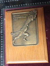 CREST AERONAUTICA MILITARE CENTRO SPERIMENTALE VOLO  RARITÀ