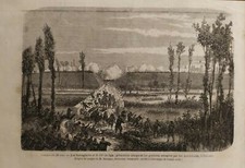 Stampa antica Xilografia 1859