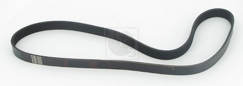 Cinghia poly per peugeot - cinghia,