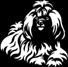 Adesivo SHIH-TZU - adesivo
