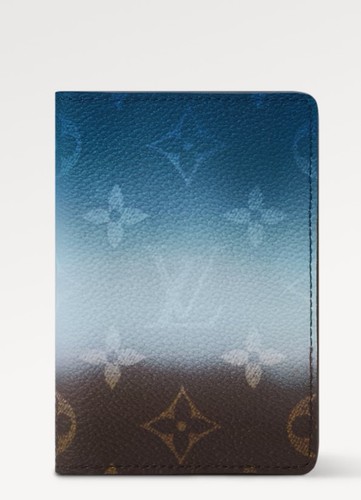 Louis vuitton organizer - louis,