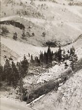 Four Elevations Switchbacks