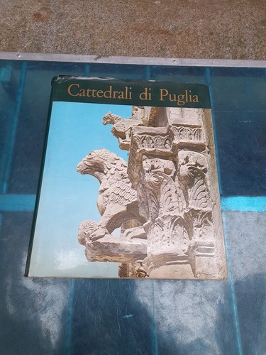 Alfredo petrucci cattedrali - alfredo,