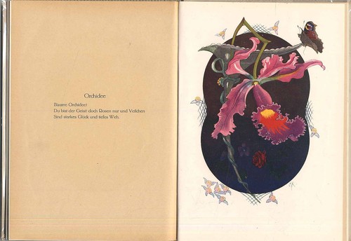 1920 frey fiori - fiori, ritornelle