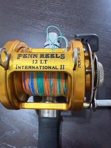 Mulinello pesca penn - pesca,