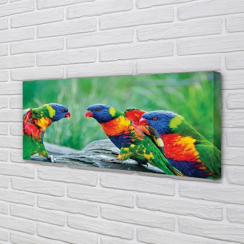 Quadro tela tulup 125x50 - quadro,
