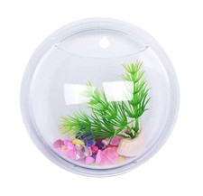 Acquario da muro - vaso -