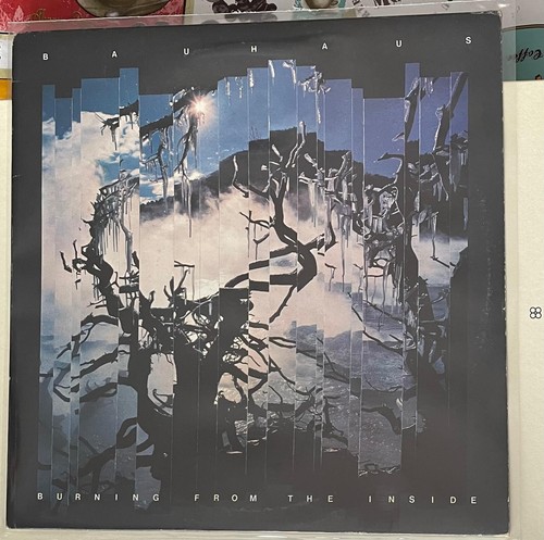 Bauhaus burning from - bauhaus,