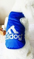 Maglia per pincher chihuahua