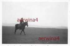 Ufficiale tedesco cavallo