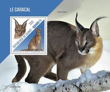 Caracal