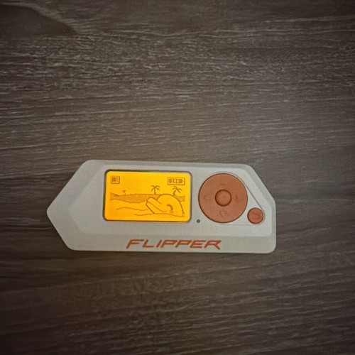 Flipper zeros dispositivo - flipper,
