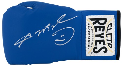 Guantone boxe sugar ray - guantone,