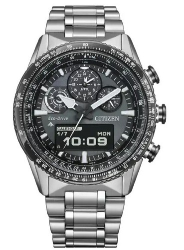 Super model citizen promaster - citizen,