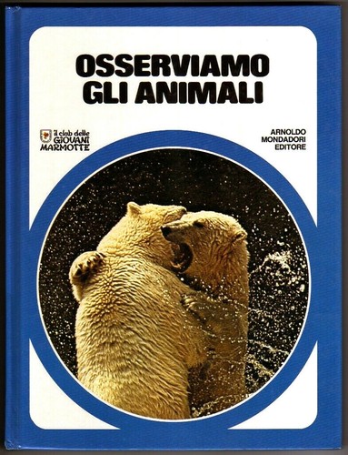 Minelli osserviamo gli - a.,
