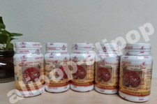 Gano Excel Ganoderma Lucidum