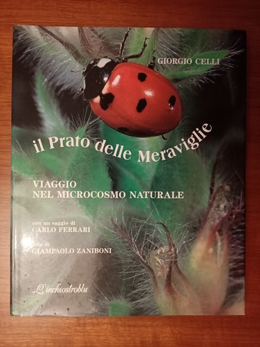 Giorgio celli il - giorgio,
