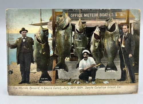 1904 record pesca santa - 1904, di