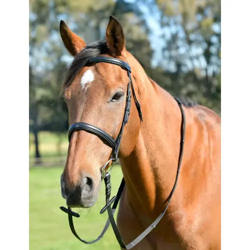 Kincade classic briglia - kincade,