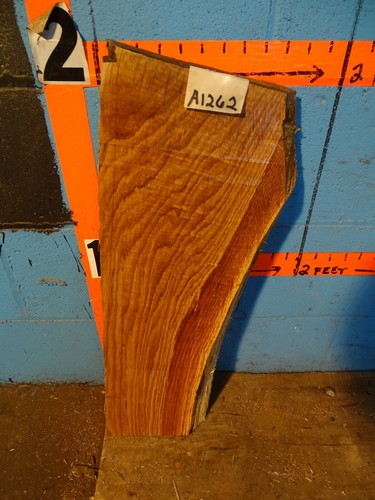 A1262 16 spessore - 1, 9/16"