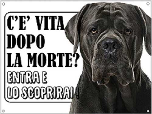 Targa cartello attenti cane - cartello,