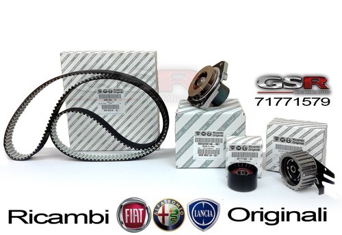 Kit cinghia distribuzione - cinghia,