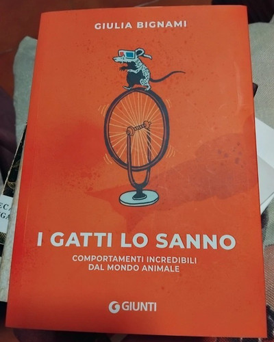 Gatti sanno - i, lo