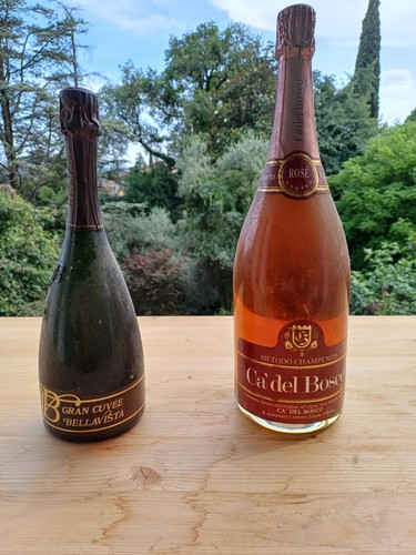 Franciacorta magnum rose ca - 1,