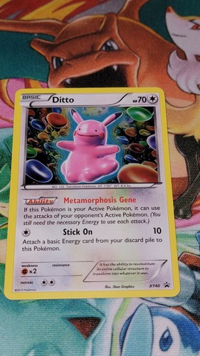 Pokemon idem black star - pokemon,