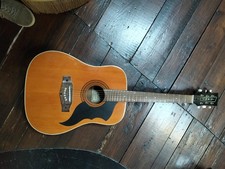 Chitarra EKO RANGER 6 CORDE in Eccellenti Condizioni Settata Dal Liutaio Gran...