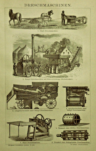1897 antica stampa - 1897,