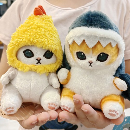 Carino squalo gatto gamberetti