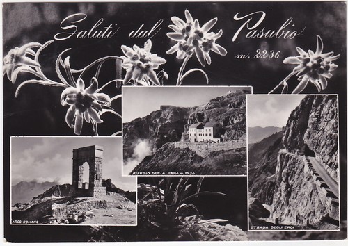 Pasubio vicenza saluti dal - -,