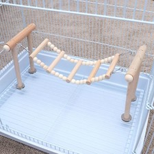  Giocattoli Per Calopsite