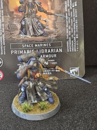 Primaris bibliotecario - , in