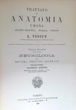 TRATTATO DI ANATOMIA UMANA