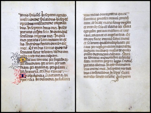 Grafia pergamena foglia - pergamena,