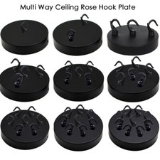 ROSA DA SOFFITTO PRESA A