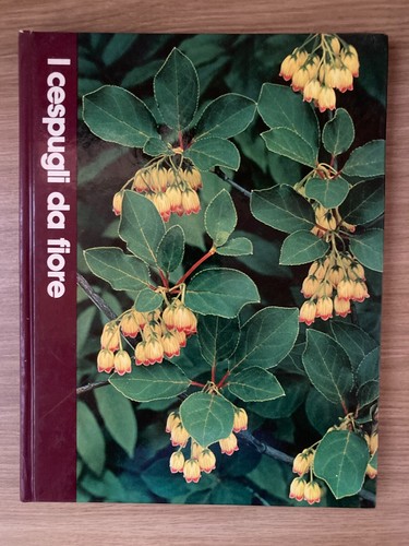 Grande enciclopedia del